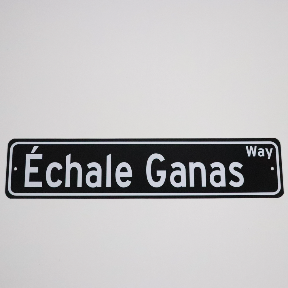Échale Ganas Way Street Sign